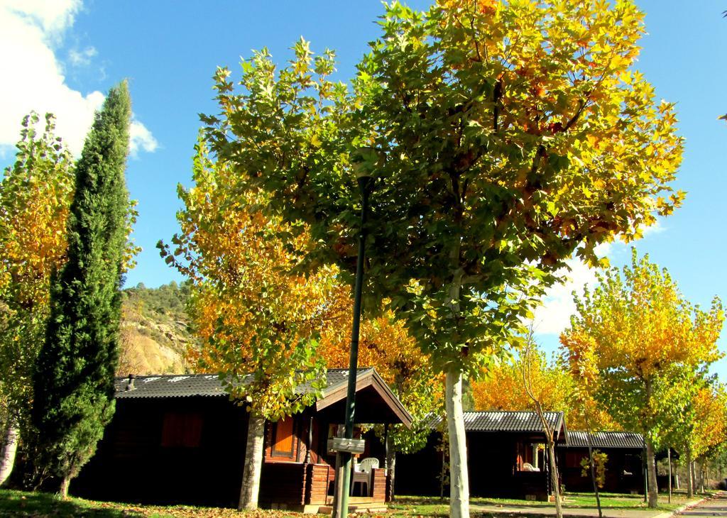 Camping & Bungalows Ligueerre De Cinca Bagian luar foto